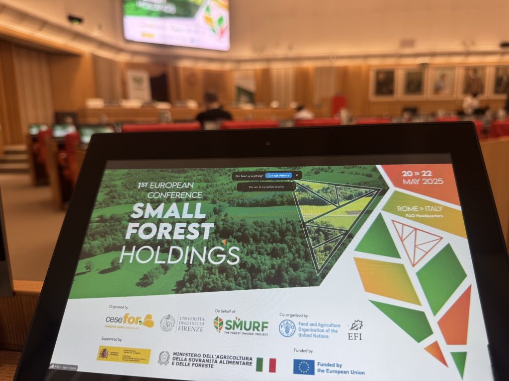 500570005_122097734264894270_4861328723639351022_n